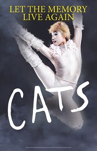 Cats 2023